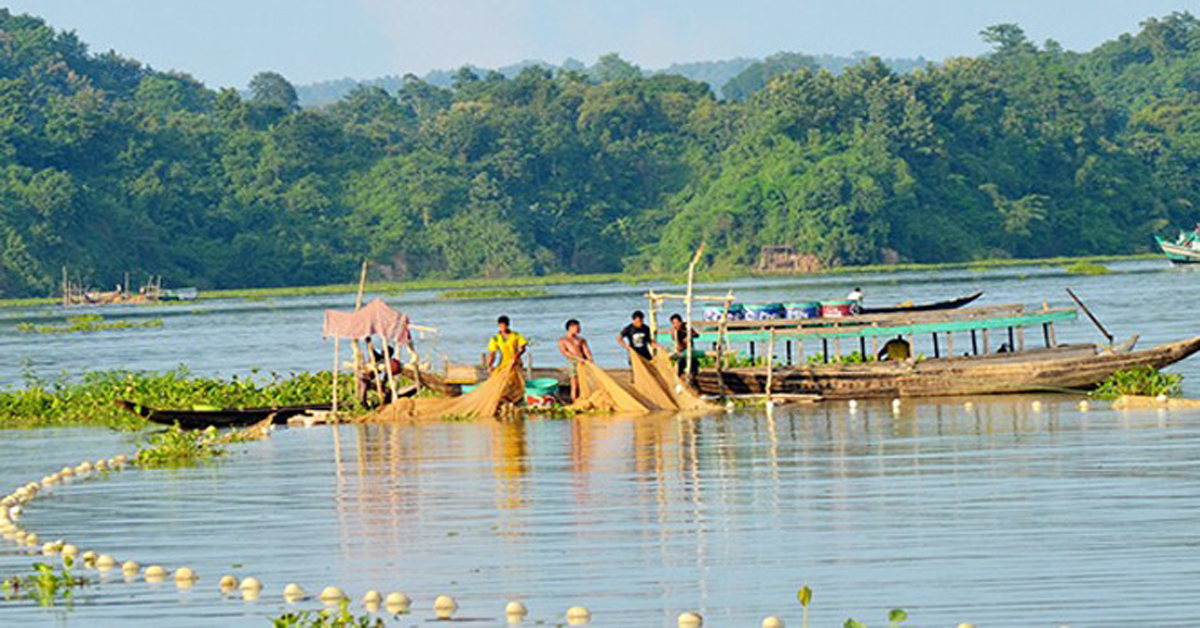 কাপ্তাই হ্রদে মাছ ধরা শুরু হচ্ছে  ১ সেপ্টেম্বর