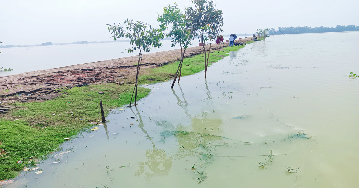 জামালপুর মেলান্দহে হঠাৎ বন্যার পানি, চিন্তিত কৃষক